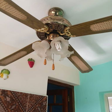 Vendo ventiladores de techo y lámpara de techo. - Img 126323331