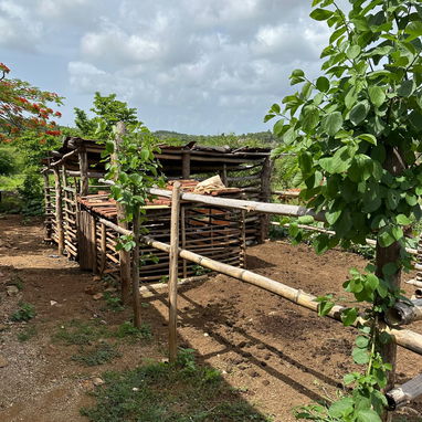 VENTA DE CASA CON TERRENO - 7/9