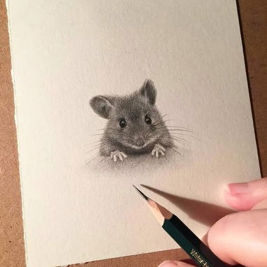 EL REGALO PERFECTO PARA TU MASCOTA (2500 MN EN ADELANTE) - 2/3