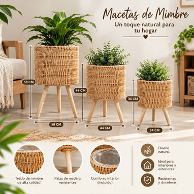 Macetero set de 3 plazas - 2/4