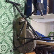 Biciclata para GIM - Img 55542036
