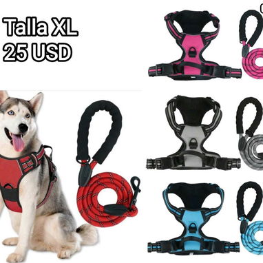 Artículos para mascotas: perros y gatos - Img 122093408