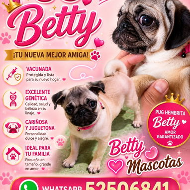 🐶 BETTY MASCOTAS 🐾 Cachorros disponibles 🐾 WHAT'SAPP 52506841 🐶 - Img 124859004