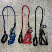 Correas fuertes para tu perro. - Img 57143139