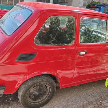 Polaco en Venta 2500usd - Img 122367626