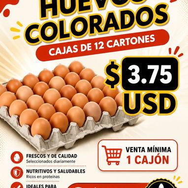 Pollo -cerdo-huevos y otros alimentos - Img 123413046