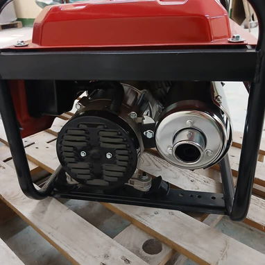 PLANTA ELÉCTRICA DE GASOLINA / GAS 3000W SANKEY - Img 118358693