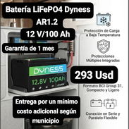 Batería LiFePO4 Dyness AR1.2 12 V/100 Ah, Garantía de 1 mes, Entrega por un mínimo costo adicional según municipio - Img 56788346