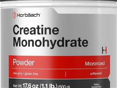 Cretaina Monohidratada Horbaach 100 serv Entrega gratis - Img main-image-45453601