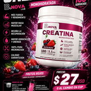 Creatina B.Nova-100 servicios Precio: $27 USD - Img 57946753