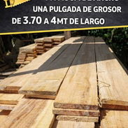 Tablas para la construcción - Img 55351988