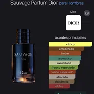🖤SAUAVGE PARFUM  Elegancia salvaje que deja huella. - Img 57511530