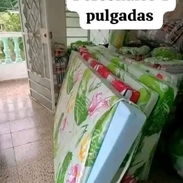 👋 Colchones personales de espuma 4 pulgadas de grosor - Img 56014226
