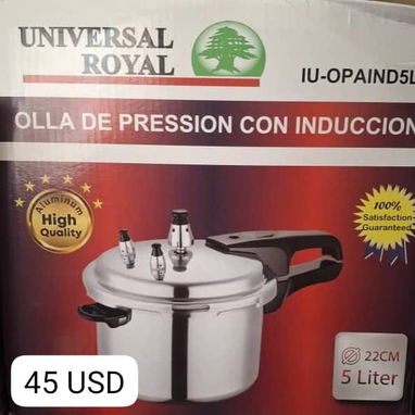 OLLAS DE PRESION PARA COCINAS DE INDUCCIÓN 3L y 5 L - Img 120959873