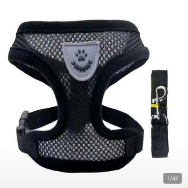 Venta de accesorios para mascotas - Img 124940087