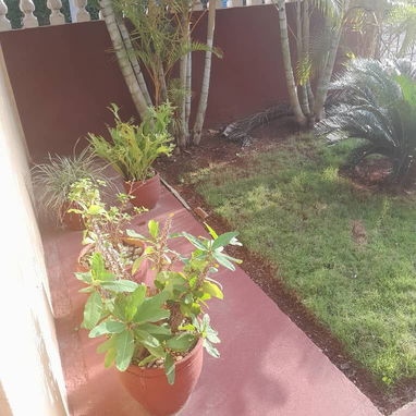CASA GRANDE PLANTA BAJA - Img 123194748
