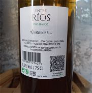 Vinos españoles - Img 45978997