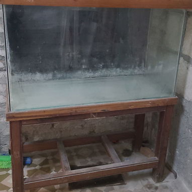 Vendo pecera en 50 usd - Img 118439614