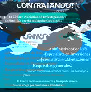 Oferta de Empleo CNIC - Img 49445332