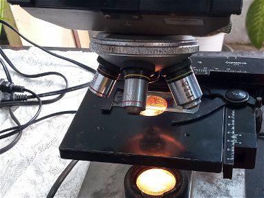 Se vende microscopio óptico binocular eléctrico. - Img main-image