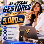 GESTORES DE VENTA - Img 56354248