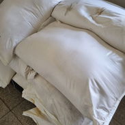 Vendo saco de pienso sellado original de fábrica de inicio y de ceba - Img 55898841