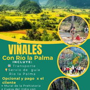 Excursiones disponibles a Viñales - Img 55544260