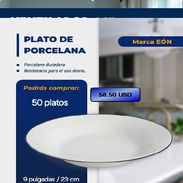 Platos de Porcelana con Línea en el Borde – Modelo EÔN - Img 55410387