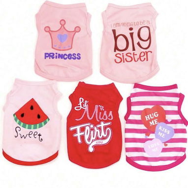 Ropa para perro - Img 119984589