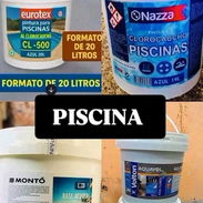 Pintura piscina - Img 55306049