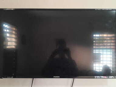 Se vende TV Panda pantalla plana 43 pulgadas - Img main-image-45814826