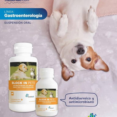 Anti diarrea para perros y gatos - Img 114642191