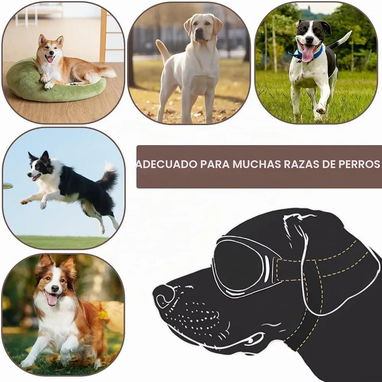 Gafas Retro para Perros - 4/5