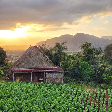 ⛰️ VIÑALES, DE OTRA MANERA 🐴 Naturaleza, cultura y un secreto que casi nadie conoce — lejos del circuito de siempre. - Img 127090605