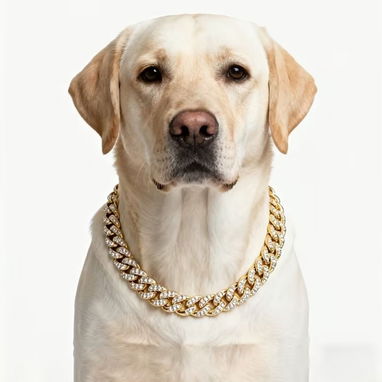 Collar de diamante para Mascotas - Img 123659359