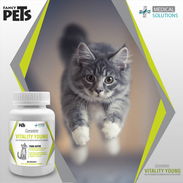 Vitaminas para gatos y perros - Img 51284469