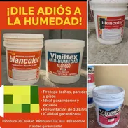 Venta de pinturas - Img 55207581