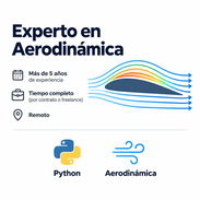 Experto en Aerodinámica - Img 57477636