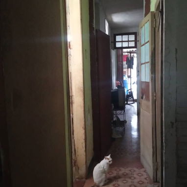 Se Vende Casa en santos Suárez - 8/9