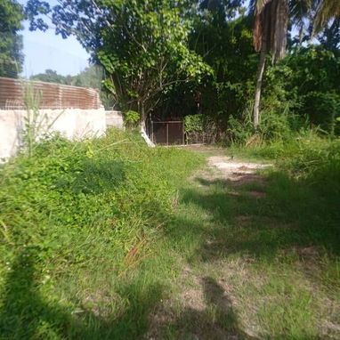 Se vende finca de 832m2 en El Cano La Lisa con una casa de 2 cuartos,cocina,baño y demás para más información llamar o e - 2/4