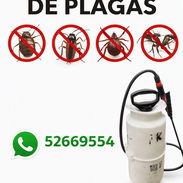 Fumigador.. Control de Plagas. Cuida tu Salud - Img 57780638