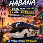 Guagua arrendada - Img 57137244