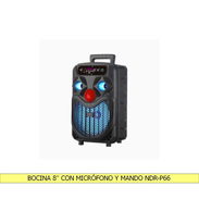 BOCINA 8'' CON MICRÓFONO Y MANDO NDR-P66 - Img 55757779