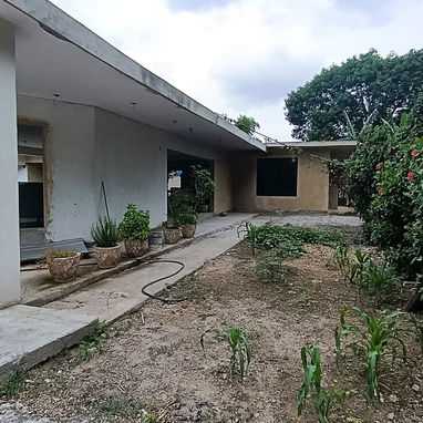 OPORTUNIDAD PROPIEDAD CON CASA, NAVE y TERRENO 1000m² - Img 121741887
