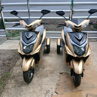 🛵 TRICICLO ELÉCTRICO IZUKI RYKER3 - 1500W (Batería Litio 72V / 45Ah) - 2/4