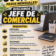 BUSCAMOS JEFE DE COMERCIAL !! - Img 58110960
