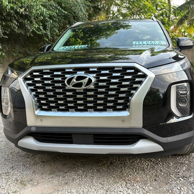 HYUNDAI PALISADE 2020 - Img 125159975