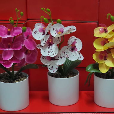 🌺Hermosas orquídeas decorativas.$8 usd ✅25 cm de altura y de 40 cm $22 usd - 3/6