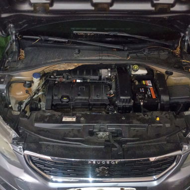 PEUGEOT 301 2019 AUTOMÁTICO - Img 122599811