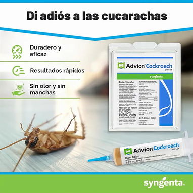 Veneno cucarachas - 7/7